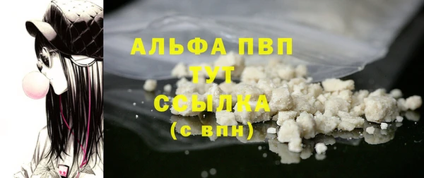 индика Михайловка