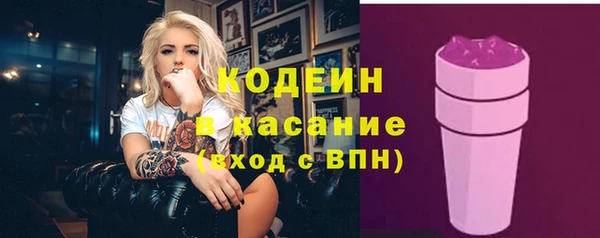 индика Михайловка