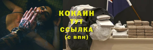 дживик Михайловск