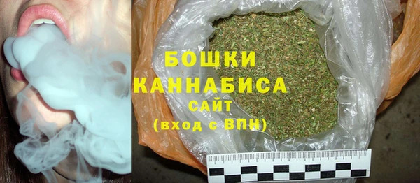 гашик Медногорск