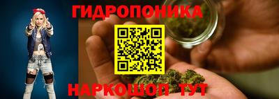 крисы Кинель