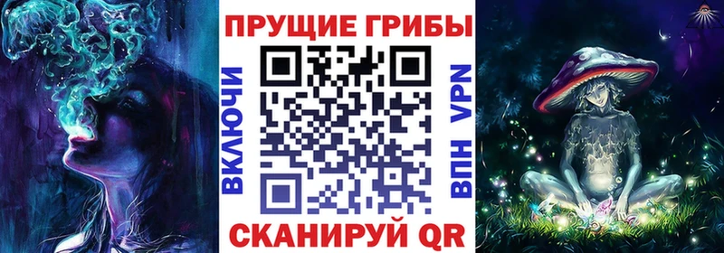 Галлюциногенные грибы MAGIC MUSHROOMS  Сосновый Бор 