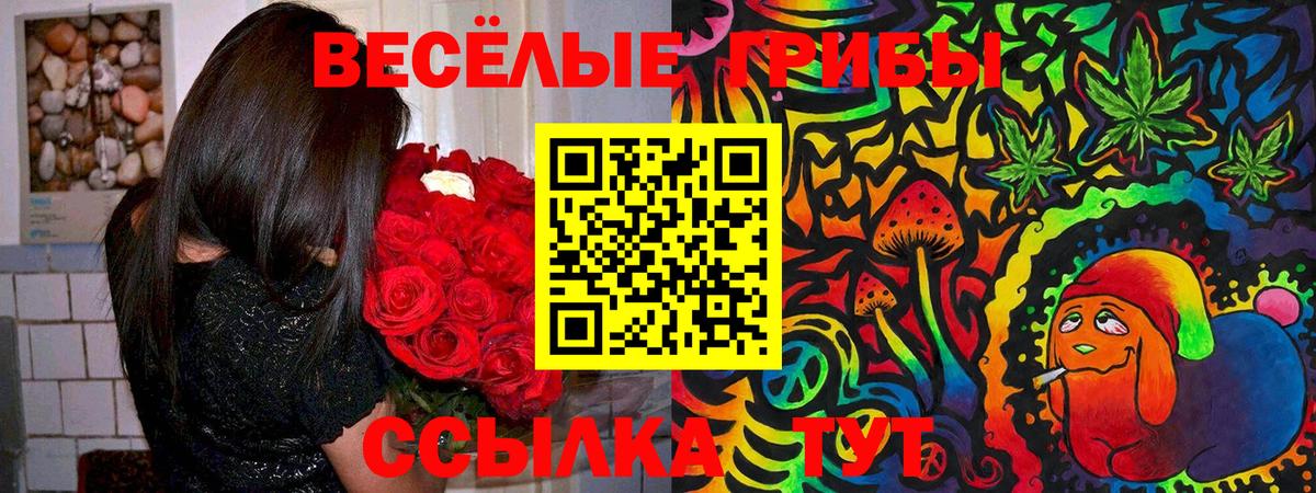 Галлюциногенные грибы мицелий  Сосновый Бор 