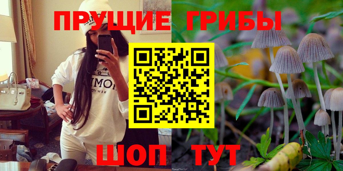 Сосновый Бор  Псилоцибиновые грибы MAGIC MUSHROOMS  Галлюциногенные грибы Psilocybe  Вход с VPN 